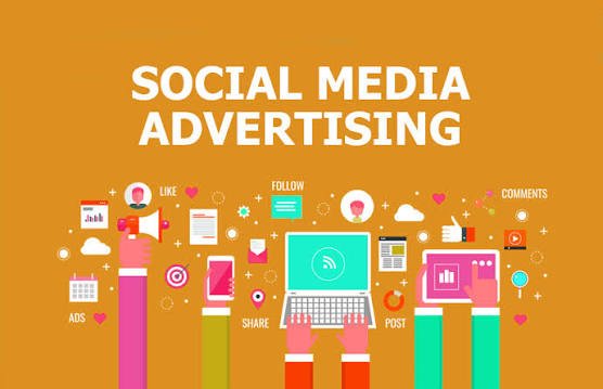 Local SEO Services Moga