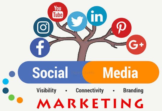 Digital Website Promotion Sangrur